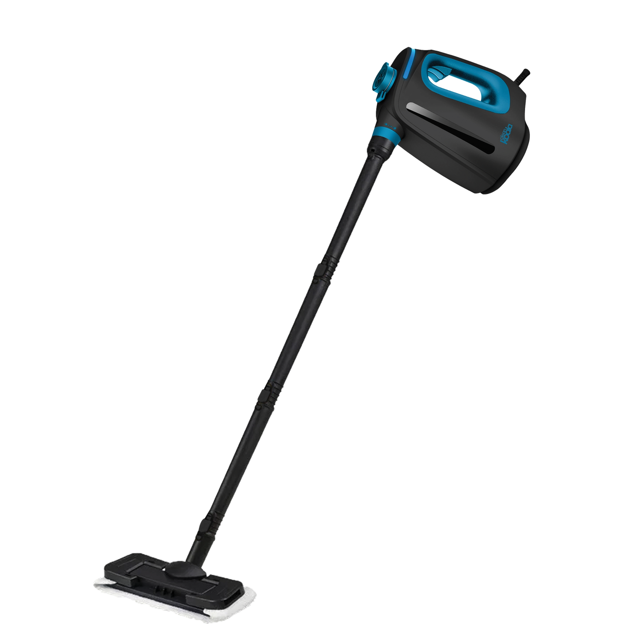 Product stoomreiniger