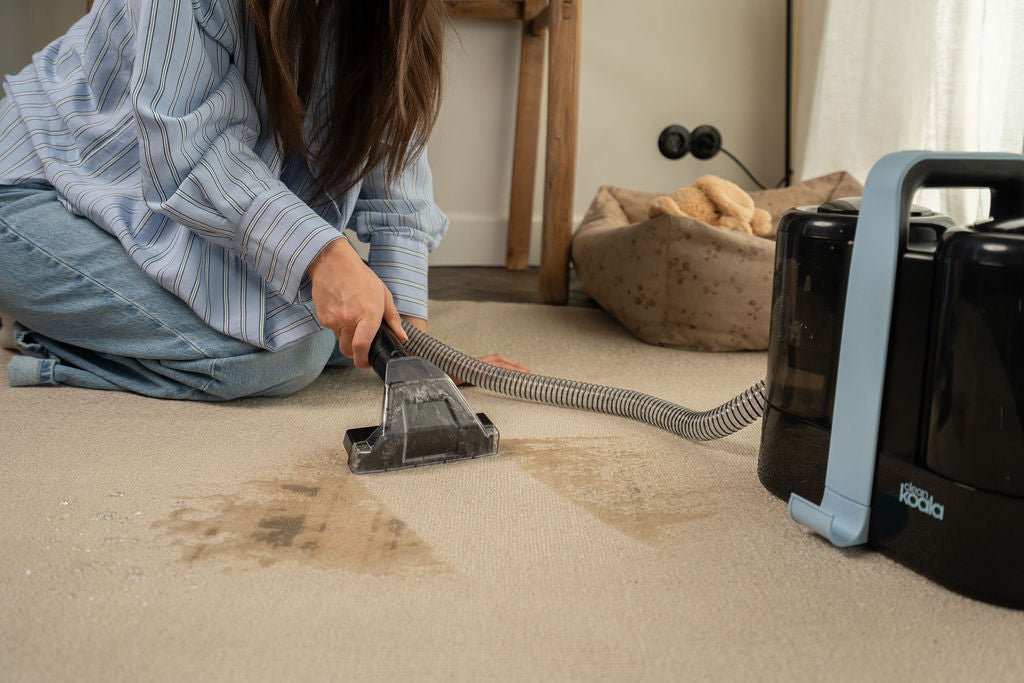Carpet cleaner